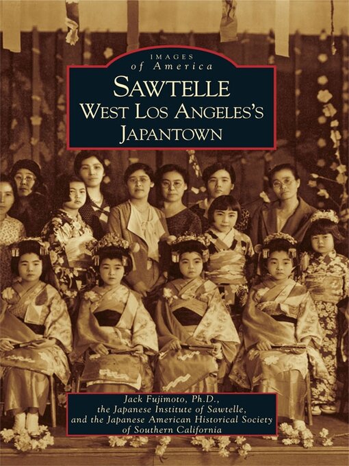 Cover image for Sawtelle